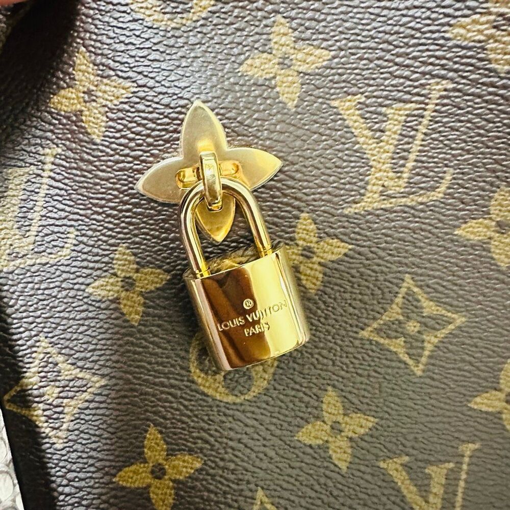 Louis Vuitton Flower Hobo Python strap - Picture 4 of 16